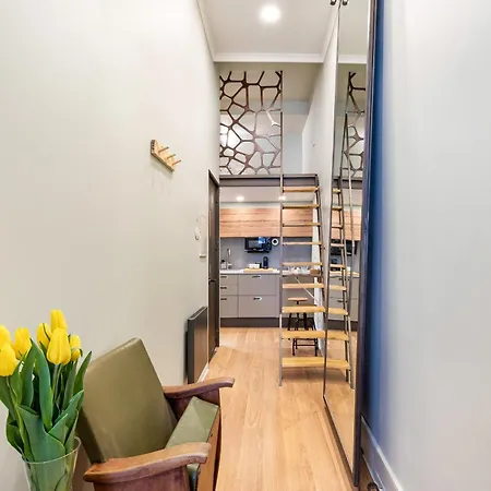 Miau Ap Historic Center By Se Apartamentos Daire Braga